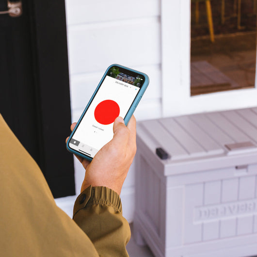 Smart Delivery Box